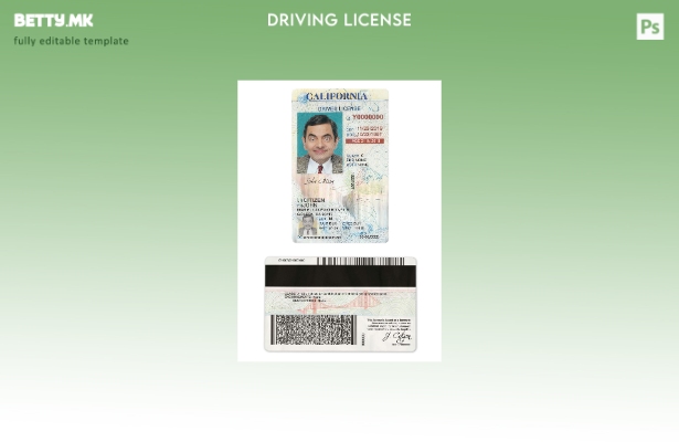 модерен стил на САД Калифорнија возачка дозвола под шаблон